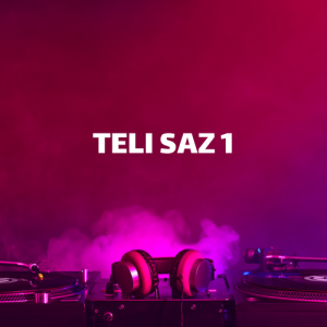 teli saz 1