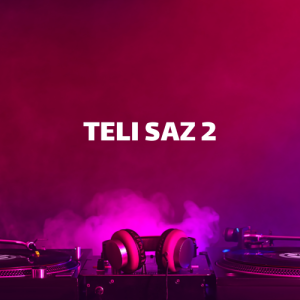 teli saz 2